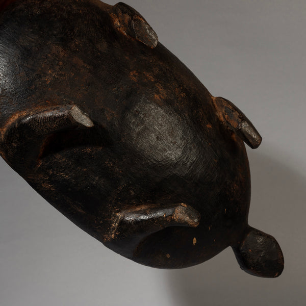 A FINE TURTLE FOOD BOWL FROM LOZI TRIBE ZAMBIA( No 4538 )