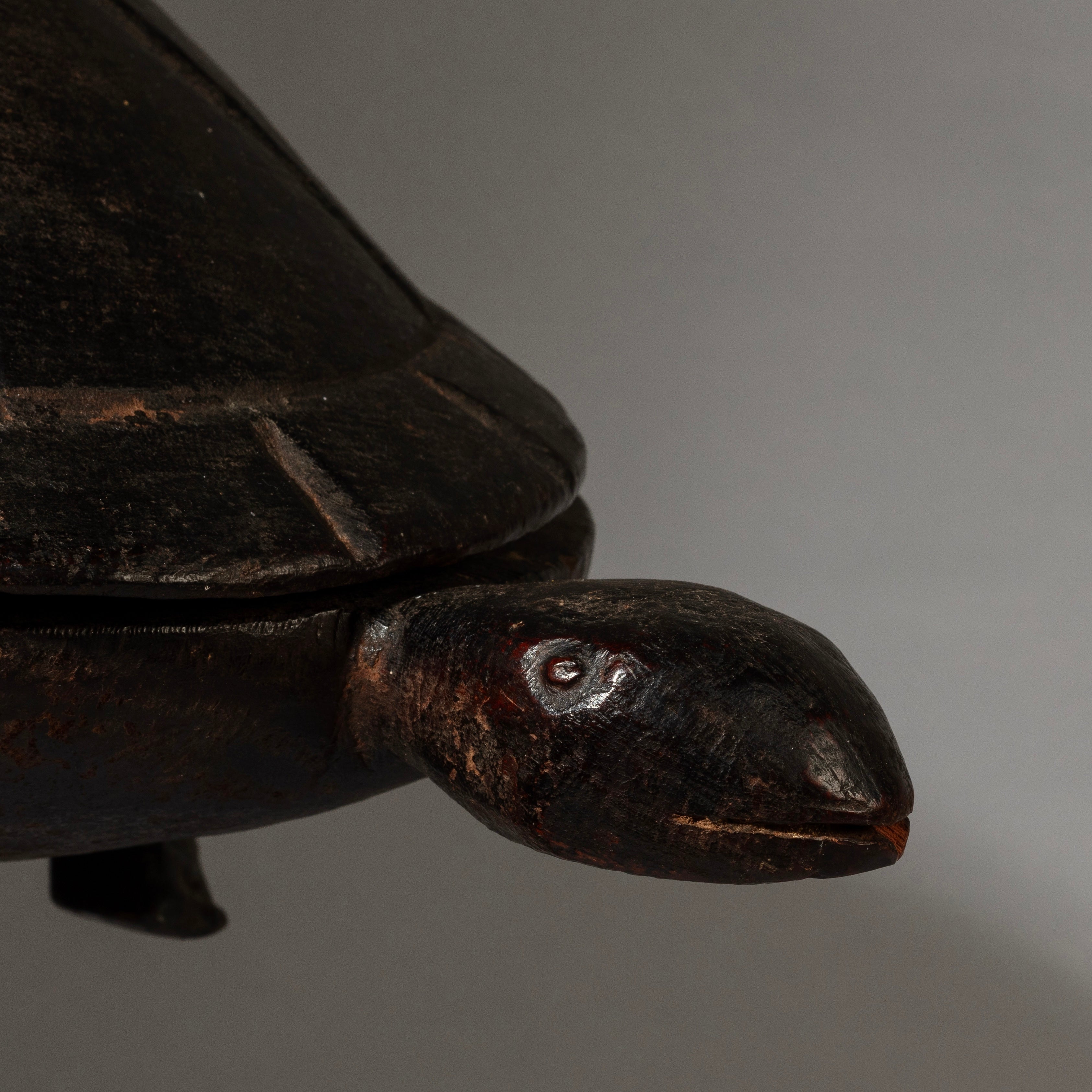 A FINE TURTLE FOOD BOWL FROM LOZI TRIBE ZAMBIA( No 4538 )