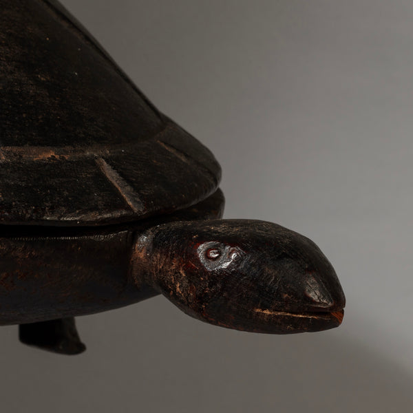 A FINE TURTLE FOOD BOWL FROM LOZI TRIBE ZAMBIA( No 4538 )
