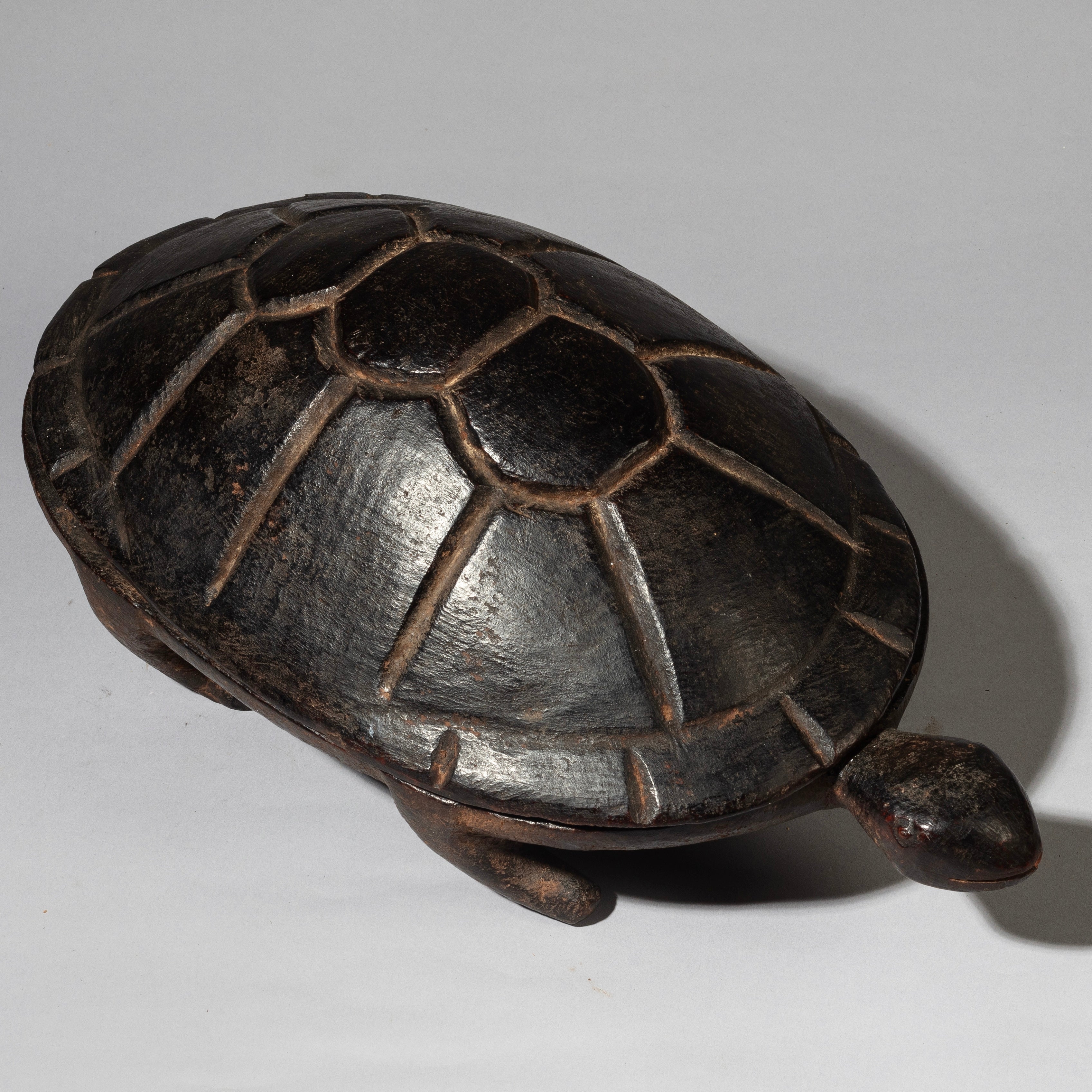 A FINE TURTLE FOOD BOWL FROM LOZI TRIBE ZAMBIA( No 4538 )