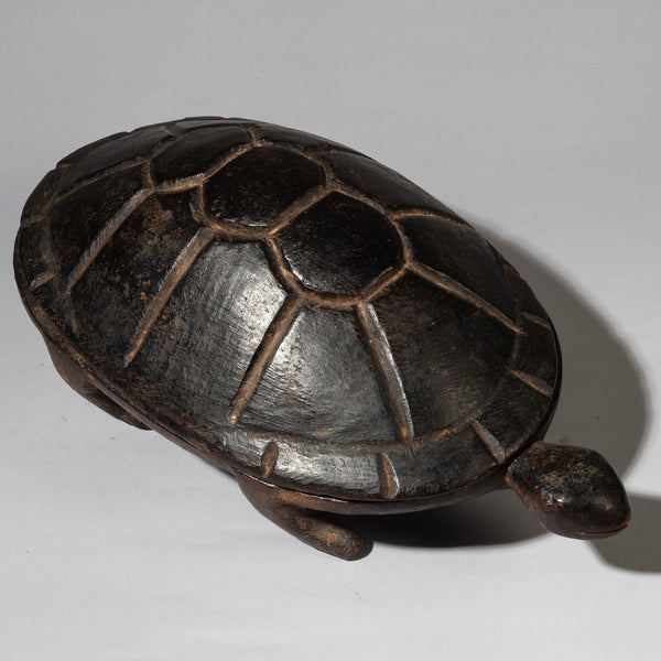 A FINE TURTLE FOOD BOWL FROM LOZI TRIBE ZAMBIA( No 4538 )