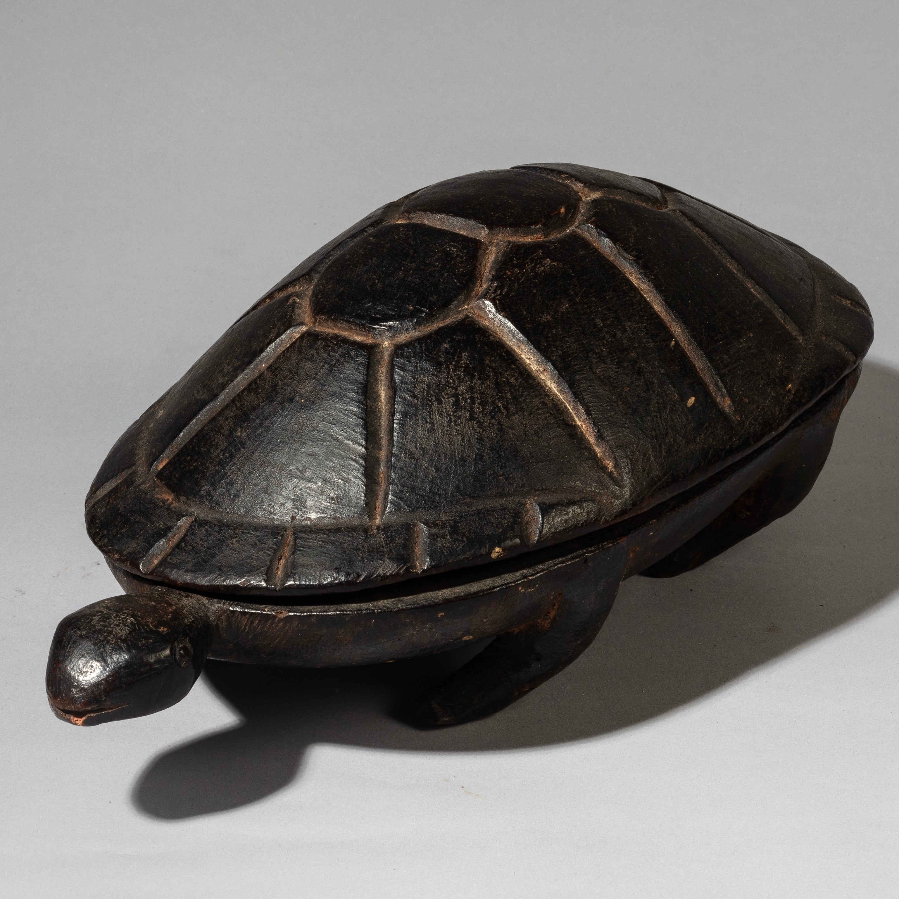 A FINE TURTLE FOOD BOWL FROM LOZI TRIBE ZAMBIA( No 4538 )