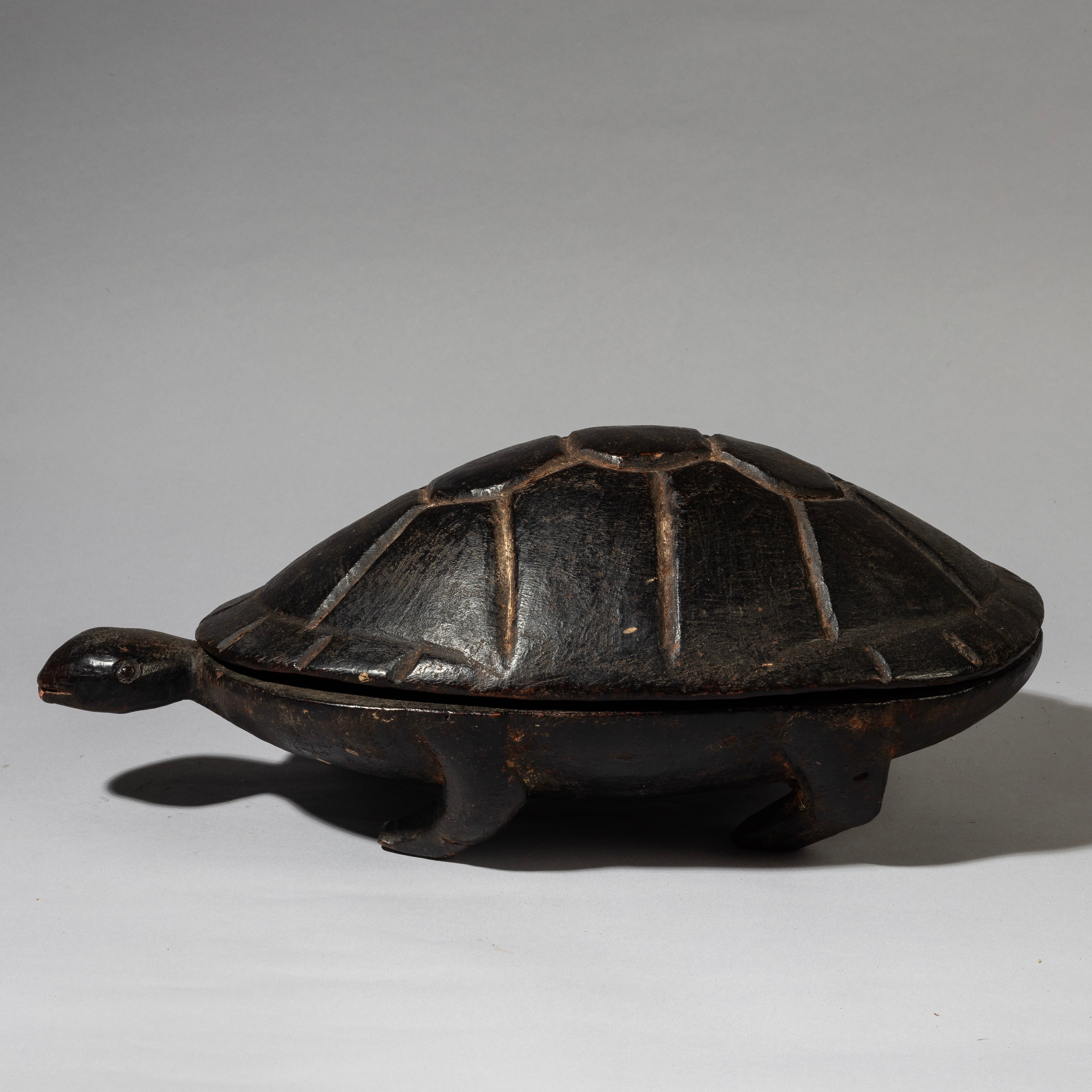 A FINE TURTLE FOOD BOWL FROM LOZI TRIBE ZAMBIA( No 4538 )