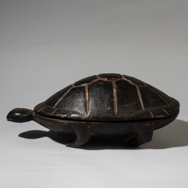 A FINE TURTLE FOOD BOWL FROM LOZI TRIBE ZAMBIA( No 4538 )