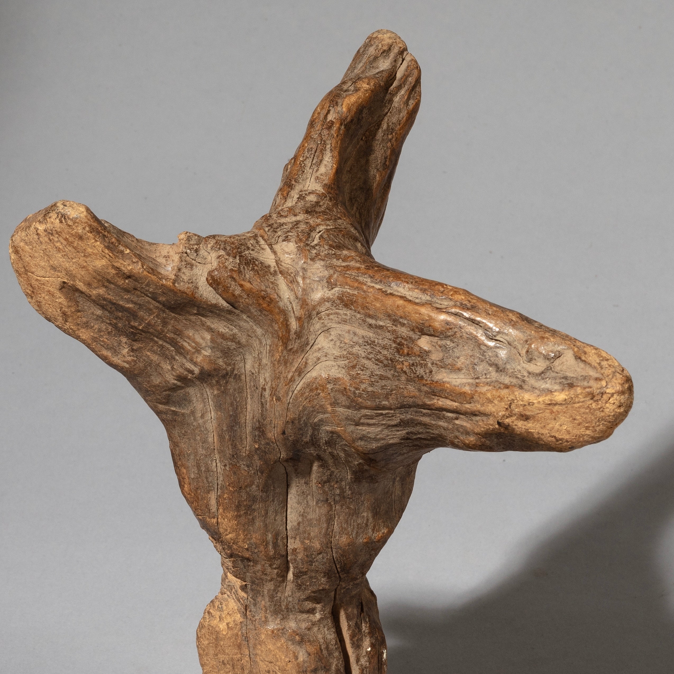 AN EXQUISITELY PATINATED DOGON NATURE SPIRIT FROM MALI ( No 4533 )