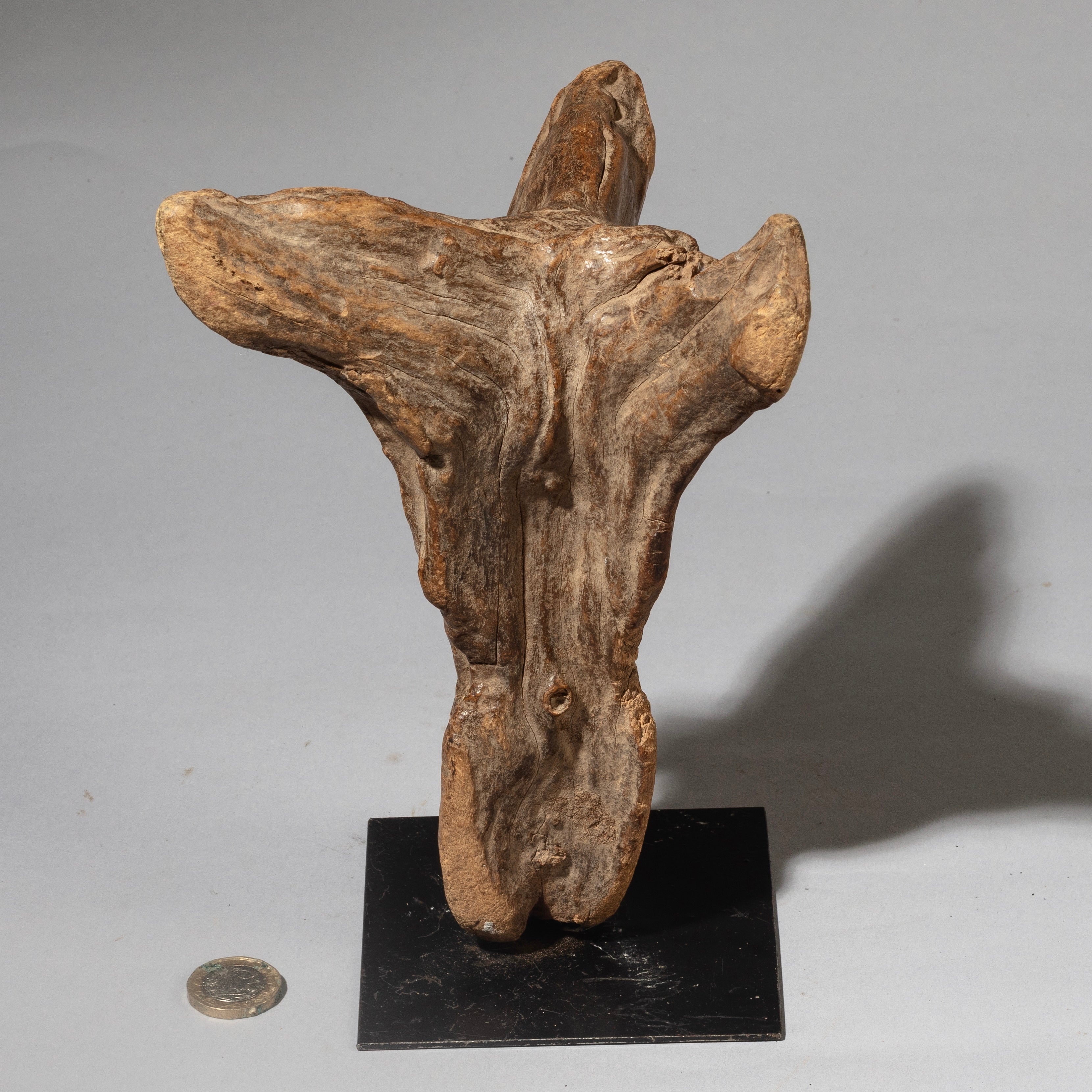 AN EXQUISITELY PATINATED DOGON NATURE SPIRIT FROM MALI ( No 4533 )