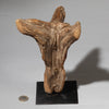 AN EXQUISITELY PATINATED DOGON NATURE SPIRIT FROM MALI ( No 4533 )