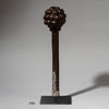 A FRUIT LIKE PRESTIGE CLUB  FROM BARI TRIBE EAST AFRICA ( No 4521 )