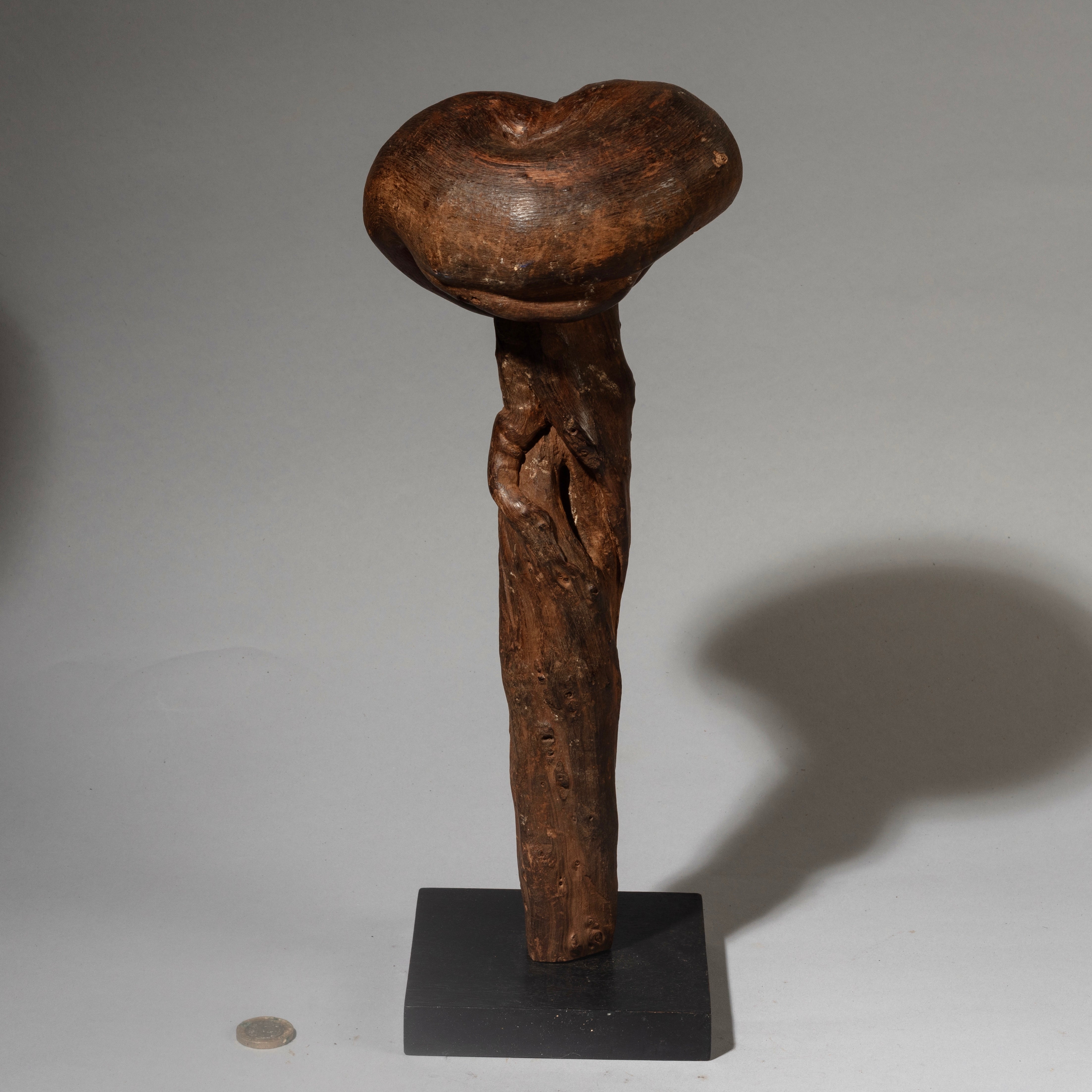 A TALL FUNGI FETISH FROM THE PARE TRIBE OF TANZANIA EAST AFRICA( No 2090)