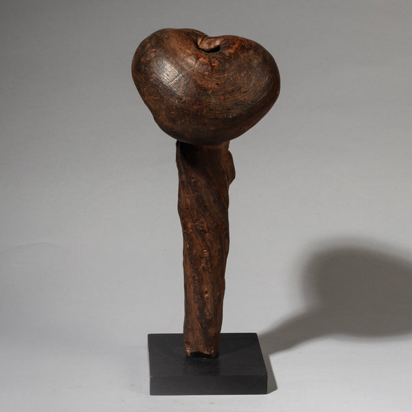 A TALL FUNGI FETISH FROM THE PARE TRIBE OF TANZANIA EAST AFRICA( No 2090)