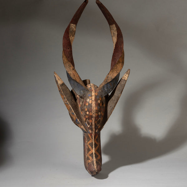 AN AMZING LARGE OGONI MASK WITH TWISTED HORNS + PIGMENT,  NIGERIA ( No 4546 )
