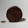 AY SOFT, ENGRAVED WOODEN LIP PLUG FROM THE SURI TRIBE OF ETHIOPIA E.AFRICA ( No 4568 )