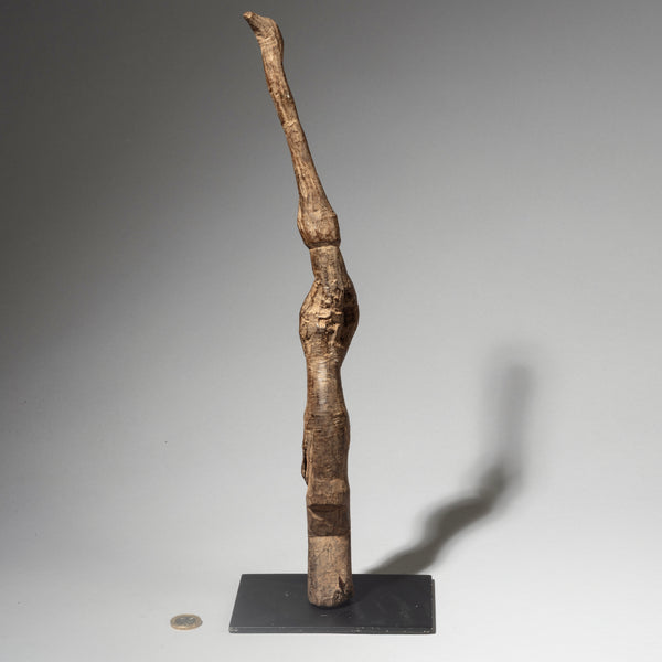 A RARE AND BIZARRE DOUBLE FACED THIL FIGURE, LOBI TRIBE BURKINA FASO( No 4573 )