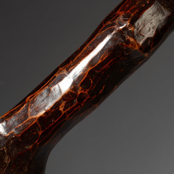 A GLOSSY +SCULPTURAL ALTAR FIGURE, BARI TRIBE OF EAST AFRICA  ( No 4574)