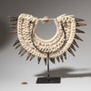 A SCALLOP SHELL MINIATURE COLLAR FROM PAPUA NEW GUINEA( No 4604 )
