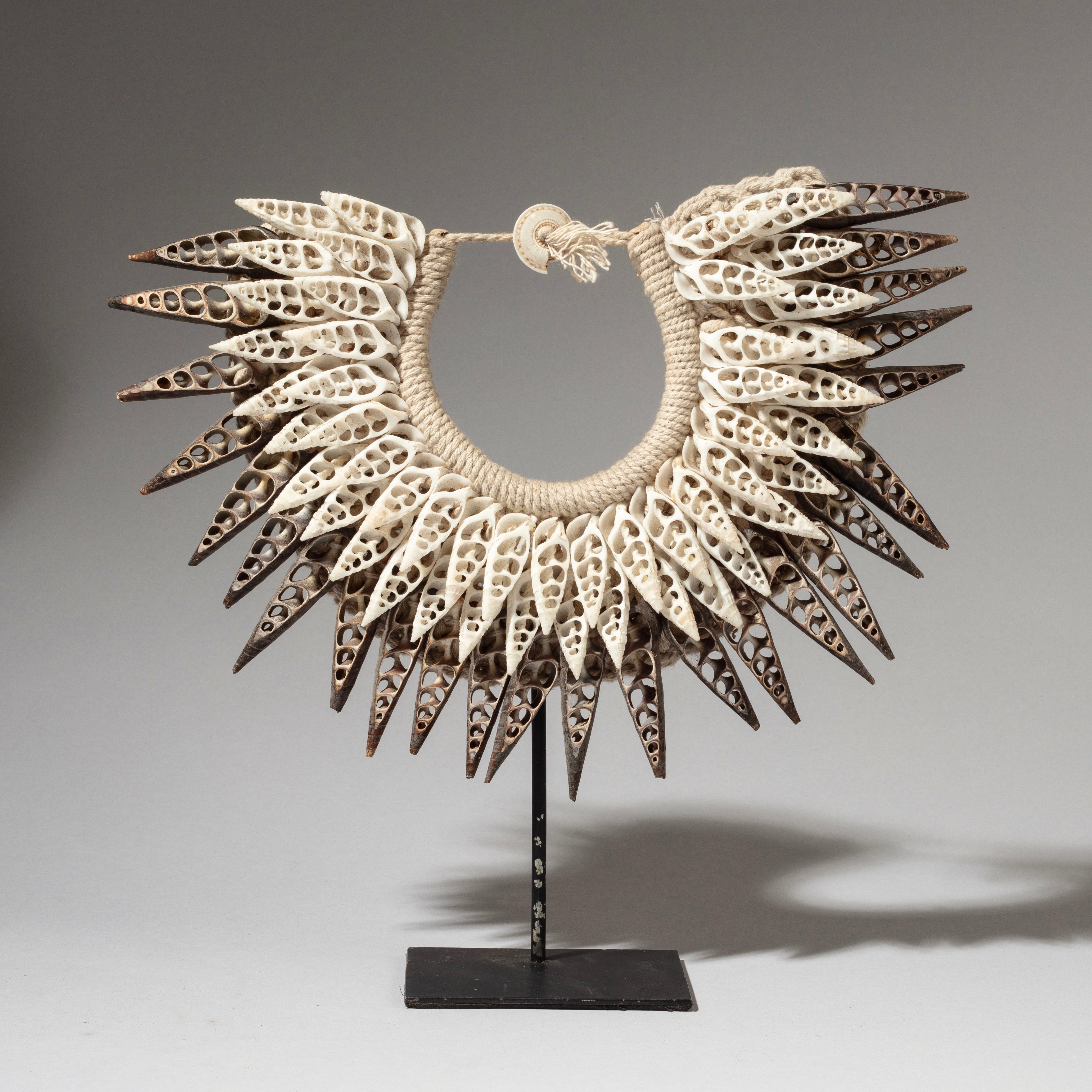 A SCALLOP SHELL MINIATURE COLLAR FROM PAPUA NEW GUINEA( No 4604 )
