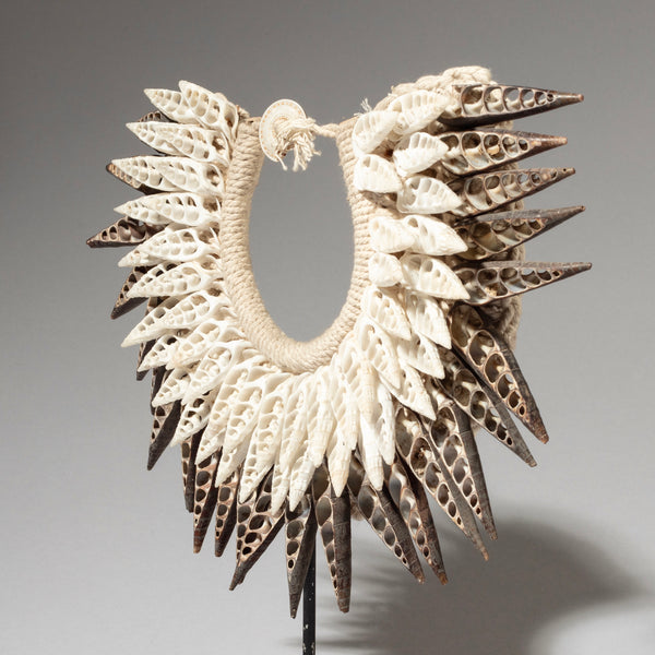 A SCALLOP SHELL MINIATURE COLLAR FROM PAPUA NEW GUINEA( No 4604 )