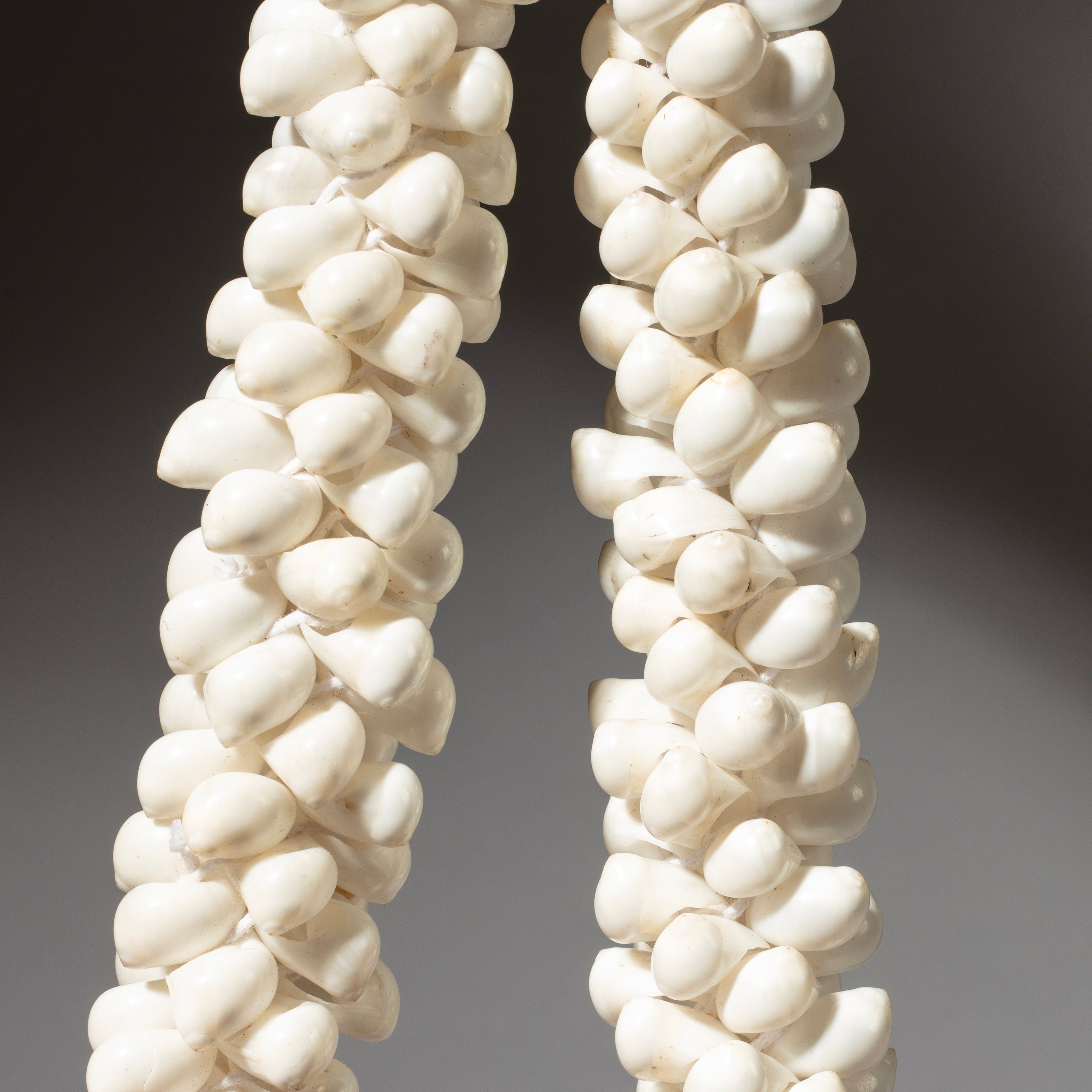 A BUNCH WHITE SHELL NECKLACE FROM PAPUA NEW GUINEA( No 4605 )