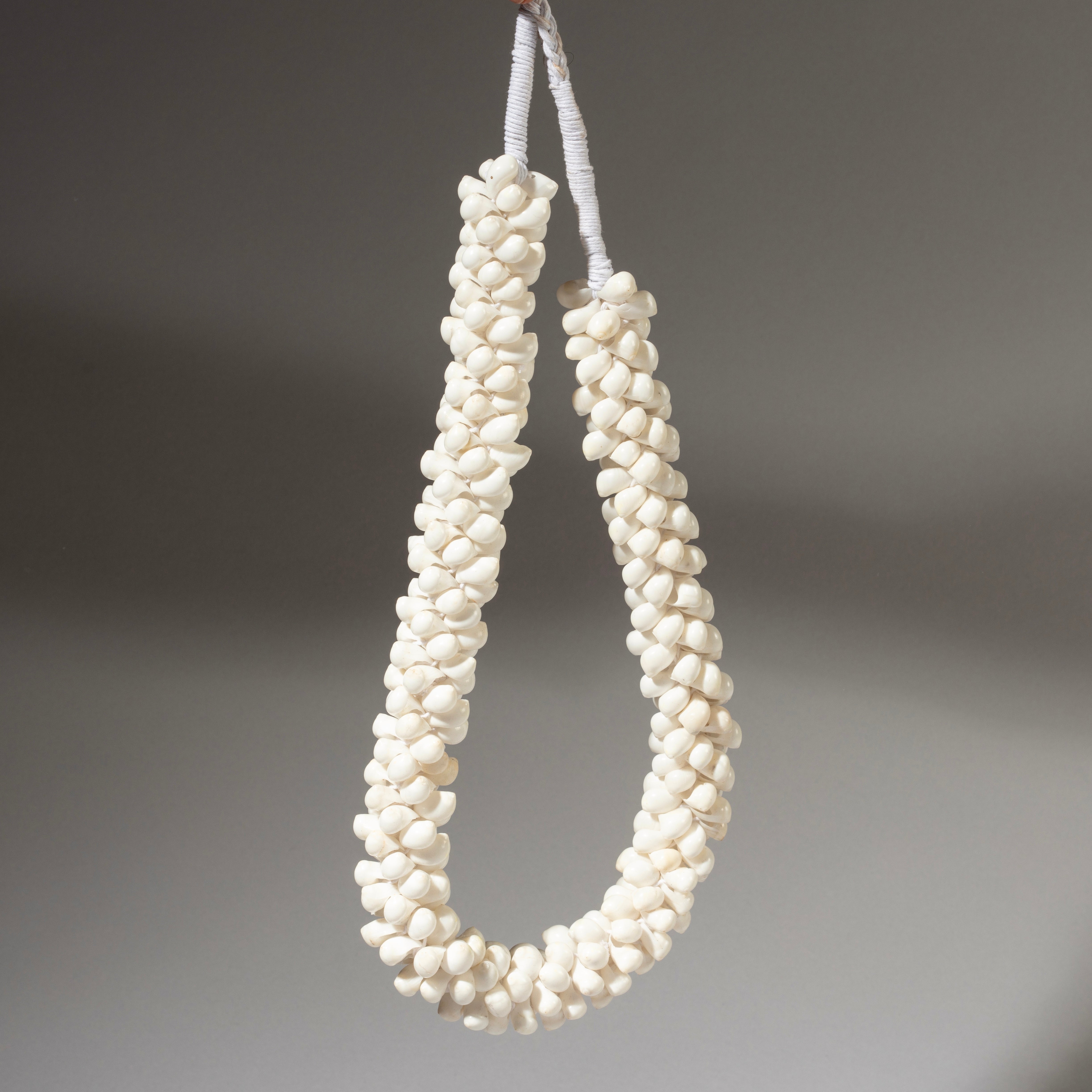 A BUNCH WHITE SHELL NECKLACE FROM PAPUA NEW GUINEA( No 4605 )