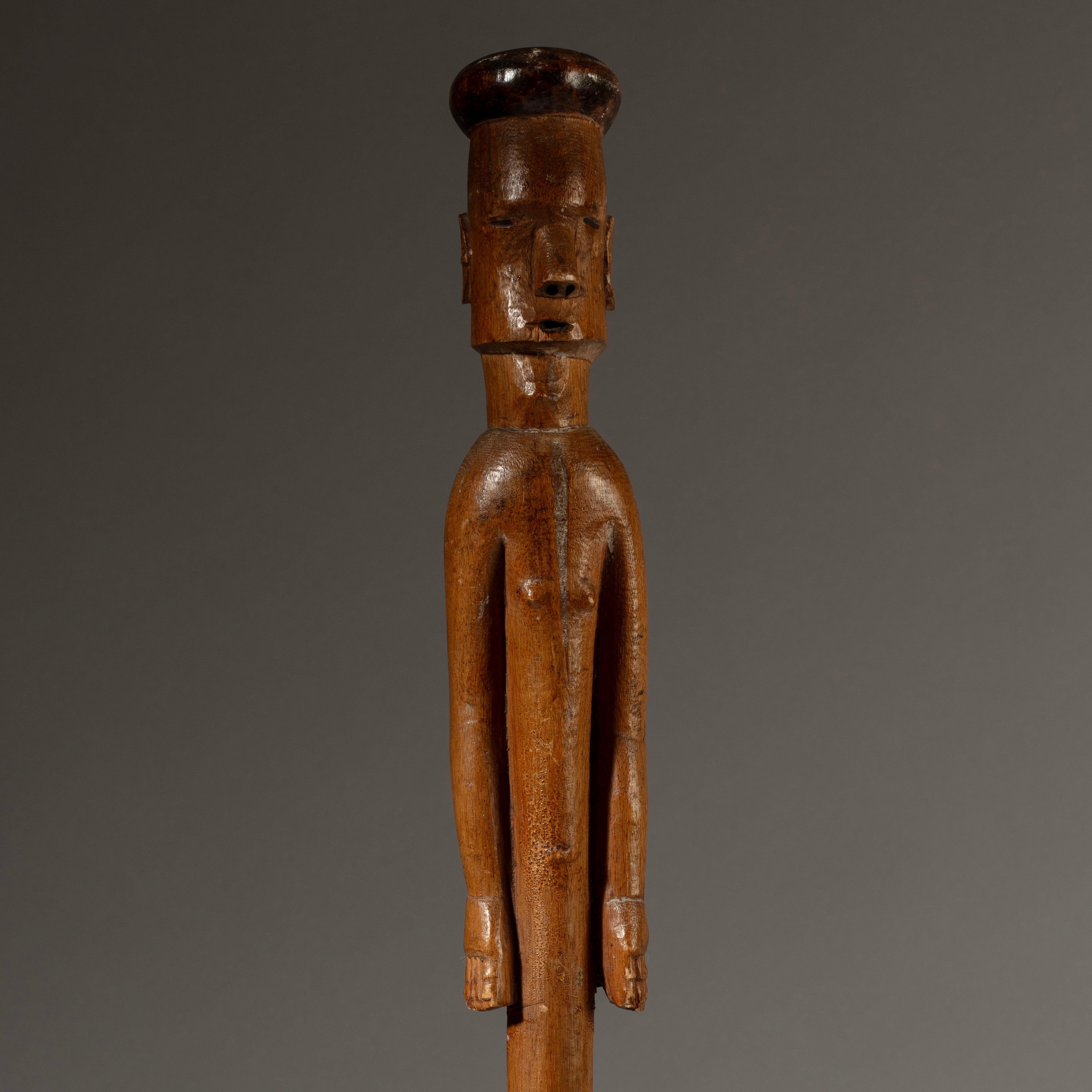 A RARE FIGURATIVE WOODEN STAFF FROM ZULU TRIBE OF SOUTH AFRICA EX UK COLL. ( No 4634 )