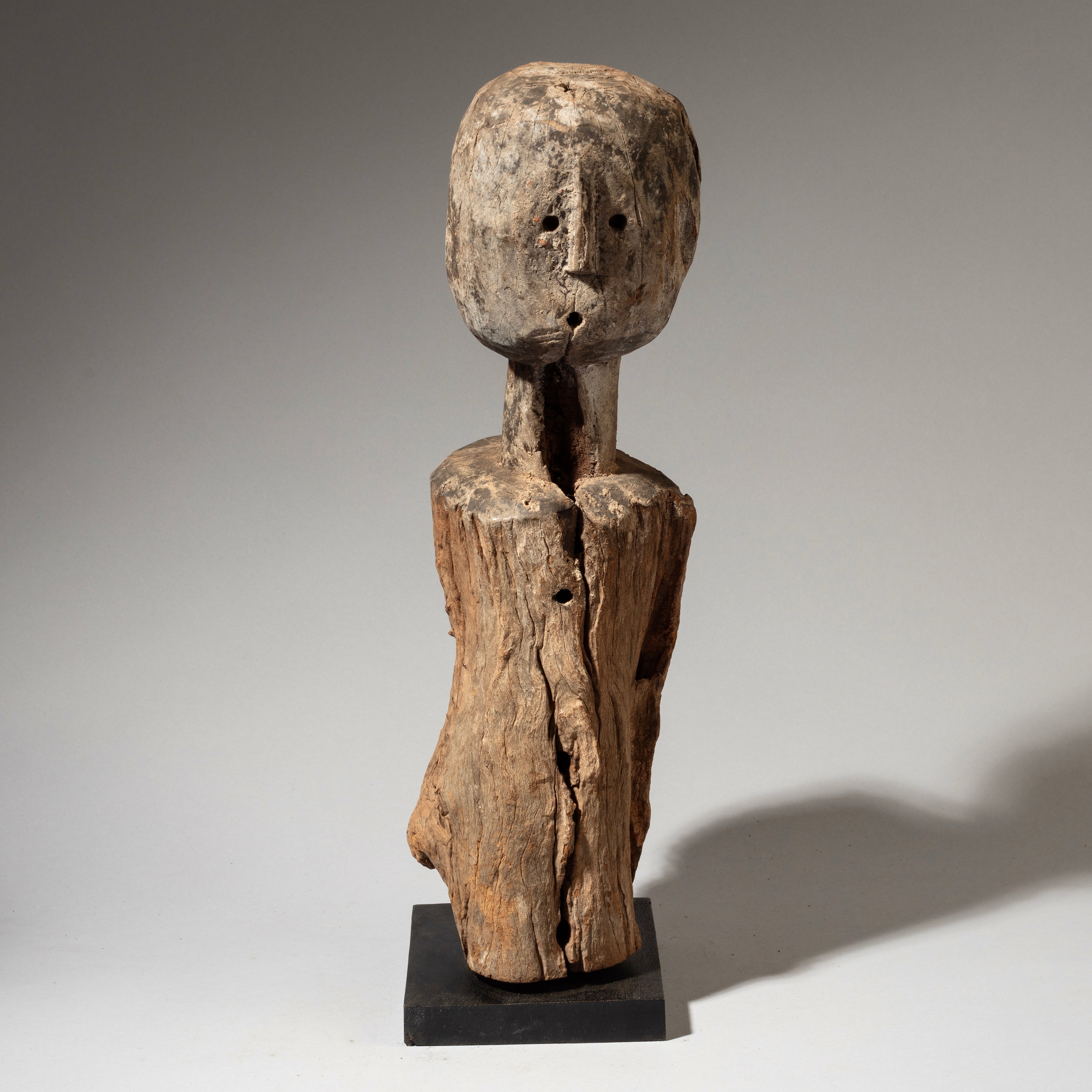 A CHUNKY ALTAR FIGURE FROM THE FON  TRIBE OF BENIN  ( No 4643 )