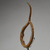 AN ASYMMETRIC IRON BRACELET CURRENCY MUMUYE TRIBE NIGERIA, WEST AFRICA ( No 4686)