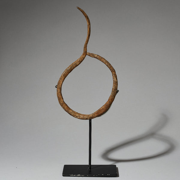 AN ASYMMETRIC IRON BRACELET CURRENCY MUMUYE TRIBE NIGERIA, WEST AFRICA ( No 4686)