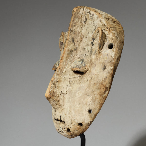 A POWERFUL WHITE PIGMENT MASK LEGA TRIBE, CONGO ( No 4718 )