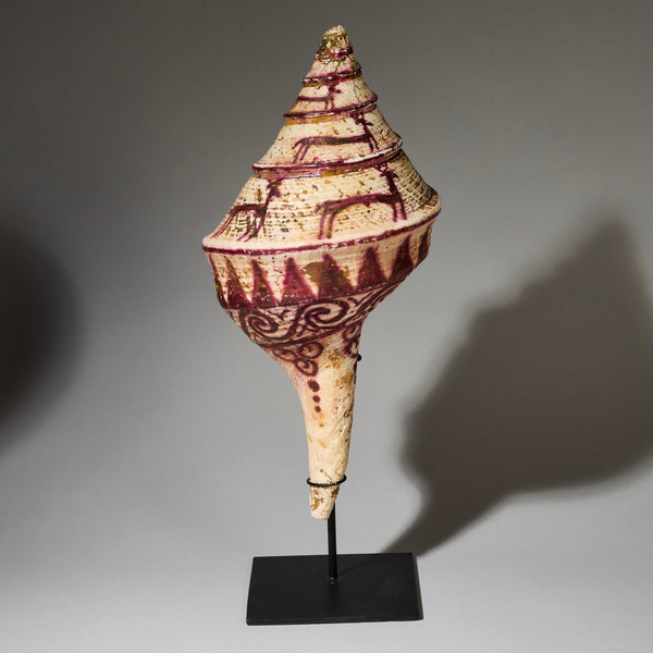 AN EXCEPTIONALLY LARGE PAINTED TRUMPET SHELL FROM PAPUA. NEW GUNIEA ( No 4724 )