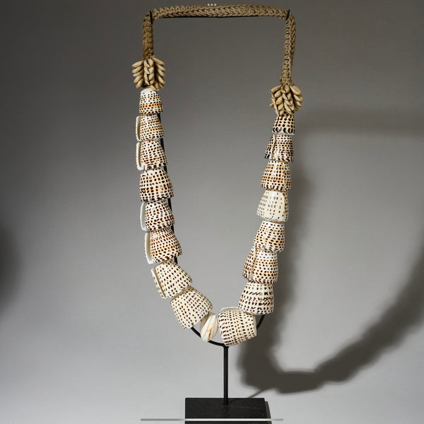 A SPECKLED SHELL CLUSTERED SHELL NECKLACE FROM PAPUA NEW GUINEA ( No 4684 )