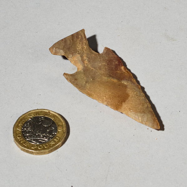 A EXTRA LARGE PERFECT CONDITION NEOLITHIC FLINT FROM NIGER  ( No 4755 )