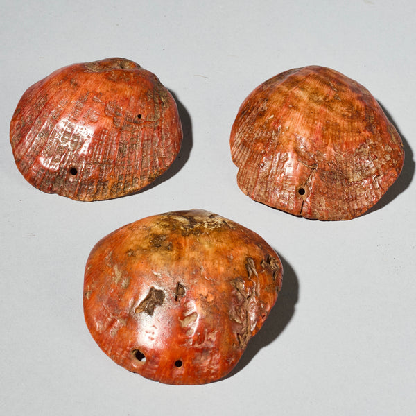 A PRETTY SET OF 3 BAULE TRIBE PINK SHELLS , IVORY COAST ( No 4754 )