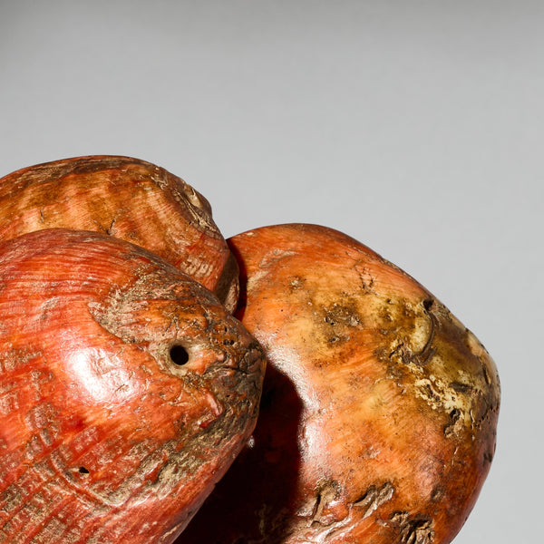 A PRETTY SET OF 3 BAULE TRIBE PINK SHELLS , IVORY COAST ( No 4754 )