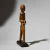 A CUBIST +QUAINT LOBI FIGURATIVE CATAPULT FROM THE IVORY COAST, W.AFRICA ( No 4887 )