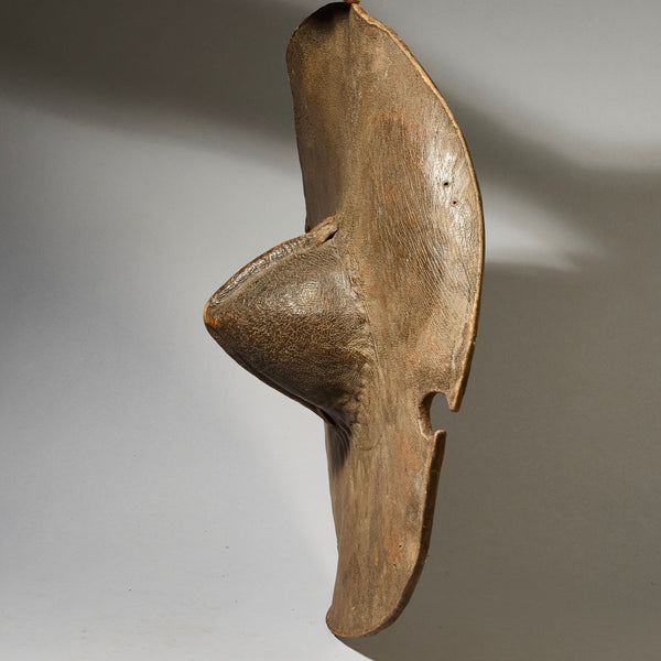 A SCULPTURAL THICK LEATHER SHIELD FROM BEDJA PEOPLE  E.AFRICA ( No 4956)