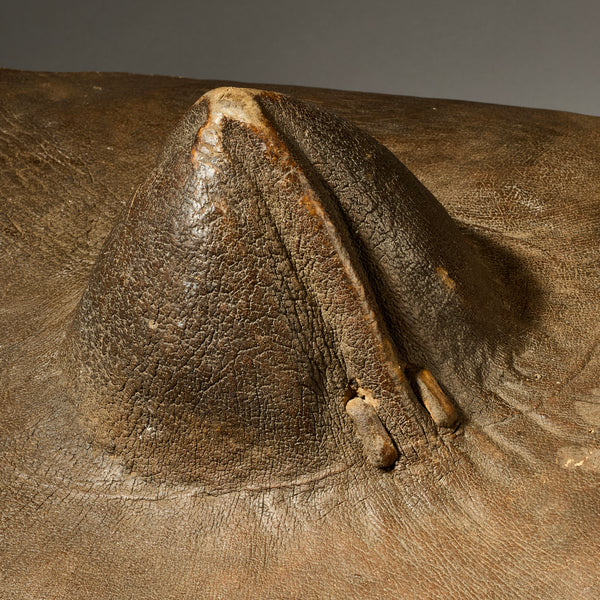 A SCULPTURAL THICK LEATHER SHIELD FROM BEDJA PEOPLE  E.AFRICA ( No 4956)
