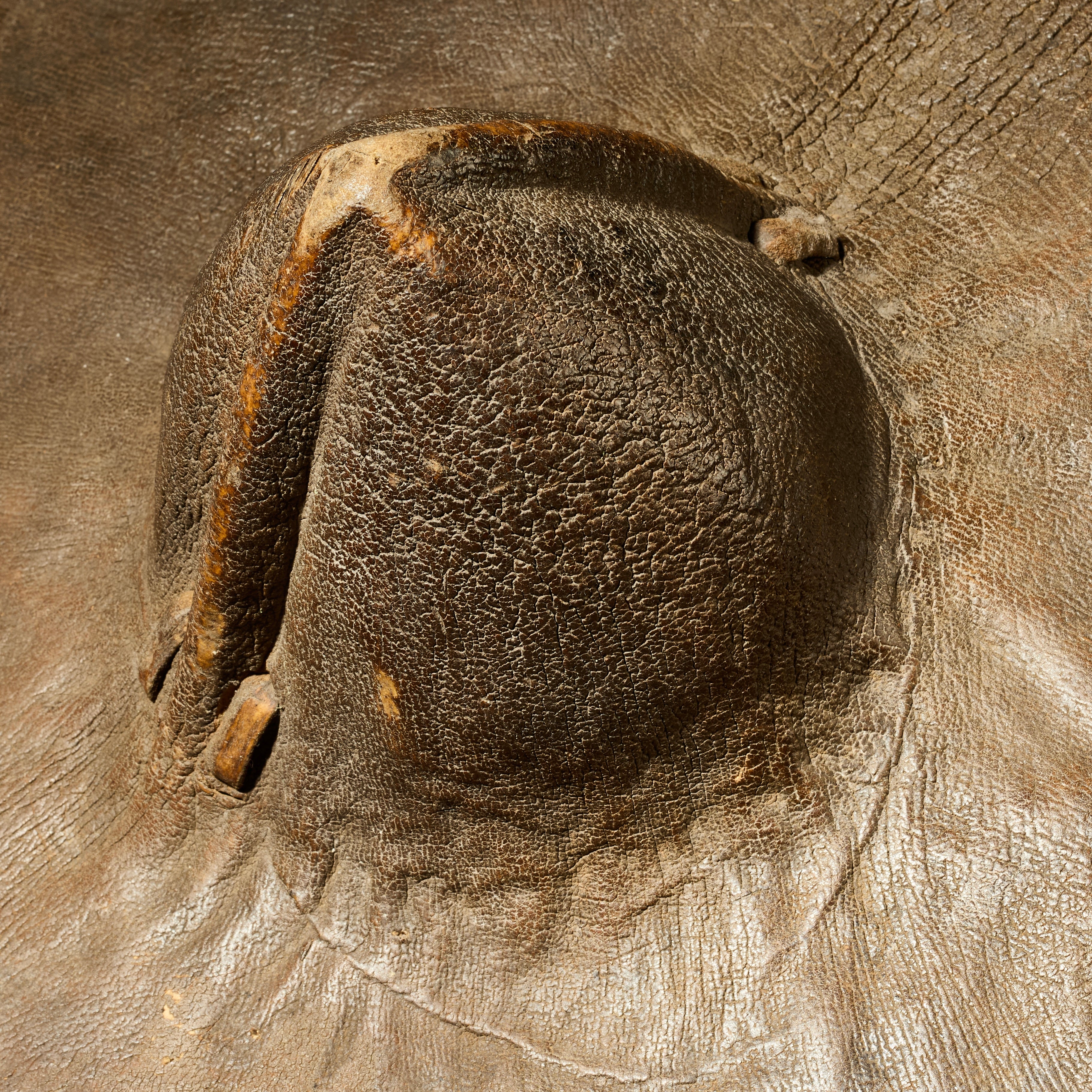 A SCULPTURAL THICK LEATHER SHIELD FROM BEDJA PEOPLE  E.AFRICA ( No 4956)