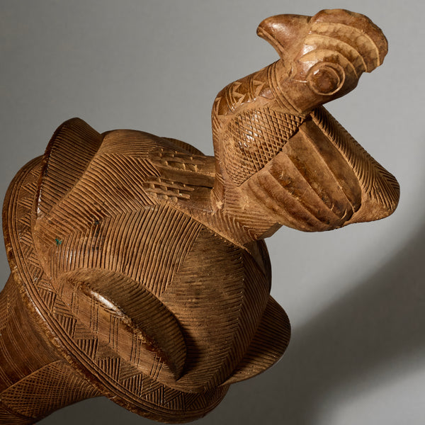 A GREAT BAULE BIRD  FLY WHISK EX GOLD LEAF,IVORY COAST W. AFRICA (No 4993 )