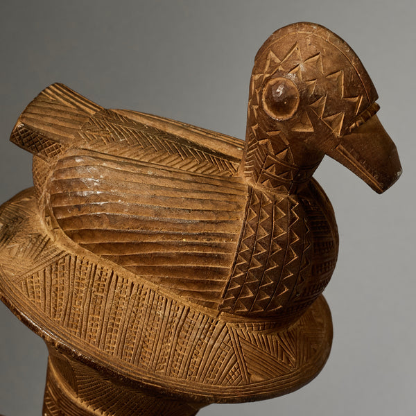 A FINE LARGE BAULE BIRD FLY WHISK EX GOLD LEAF,IVORY COAST W. AFRICA (No 4992)