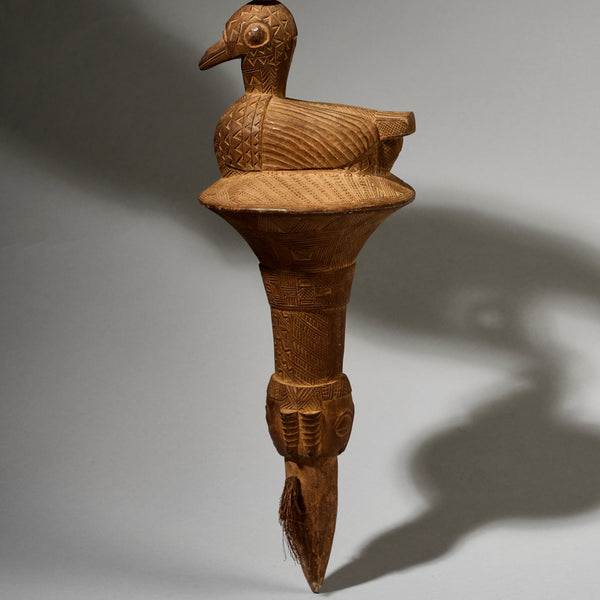 A FINE LARGE BAULE BIRD FLY WHISK EX GOLD LEAF,IVORY COAST W. AFRICA (No 4992)