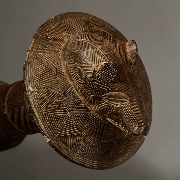 AN UNSUAL ANIMAL BAULE FLY WHISK EX GOLD LEAF,IVORY COAST W. AFRICA (No 4994 )