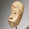 AN ATTRACTIVE MASK FROM THE GURUNSI  TRIBE OF THE Burkina Faso  ( No 5035 )