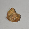 AN ATTRACTIVE ANCIENT STONE FLINT, SAHARA ( No 5022)