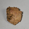 AN AIR MOUNTAIN, ANCIENT STONE SCRAPING TOOL , SAHARA ( No 5024 )