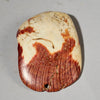 AN EXCEPTIONALLY LARGE  PRESTIGE PECTEN SHELL BAULE TRIBE IVORY COAST ( No 5051)