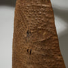 AN EMBOSSED, BELL SHAPED SHIELD, KIRDI TRIBE N CAMEROON, W.AFRICA WITH GOOD AGE AND PATINA  ( No 5074)