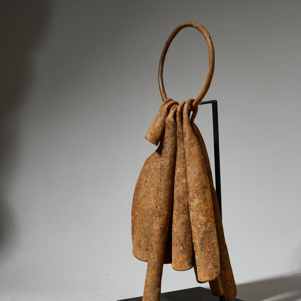 LARGE IRON CURRENCY ASSEMBLAGE, CHAMBA TRIBE OF NIGERIA ( No 5095 )