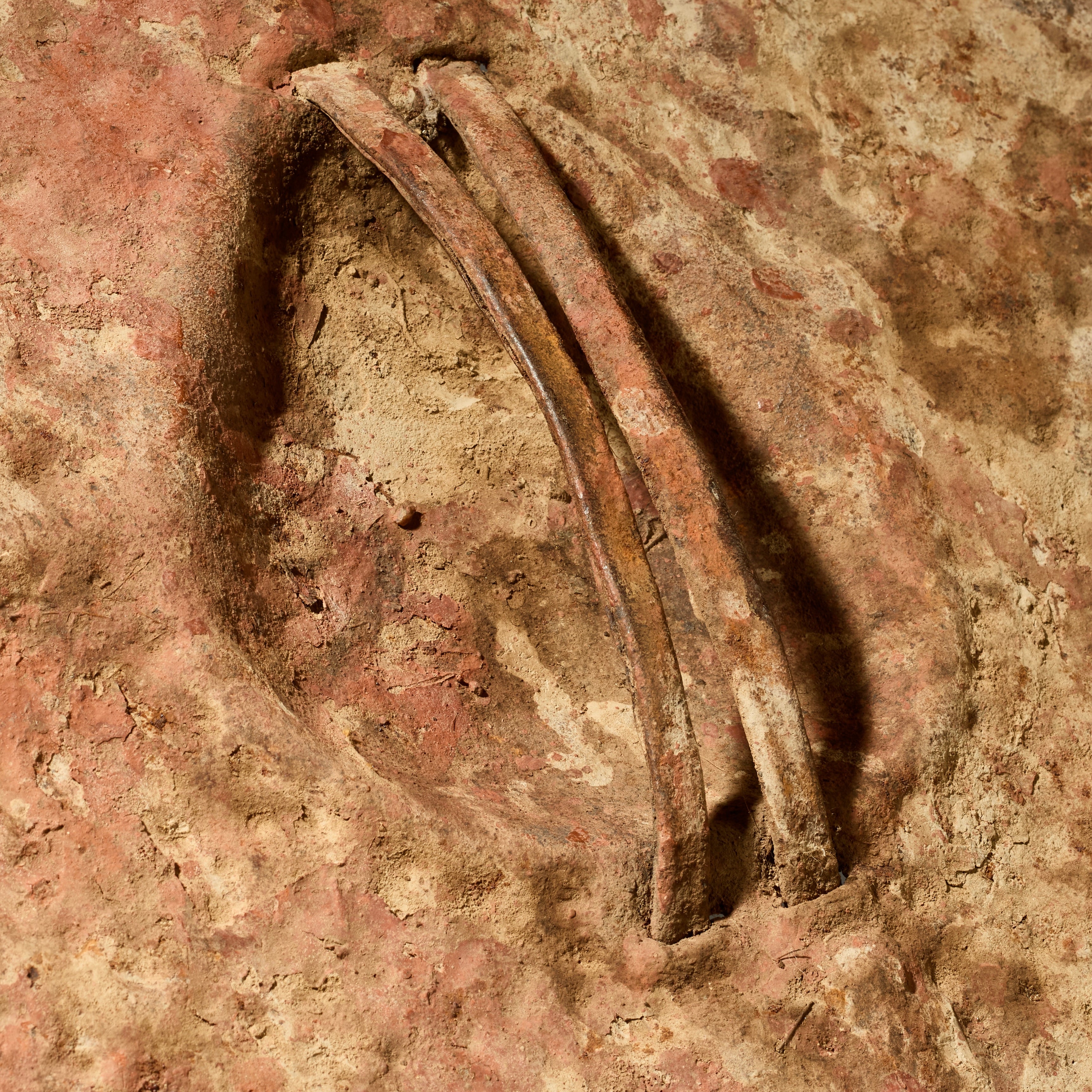 A BUMPY ROUND SHIELD, KIRDI TRIBE N CAMEROON, W.AFRICA WITH GOOD AGE AND PATINA  ( No 5075 )