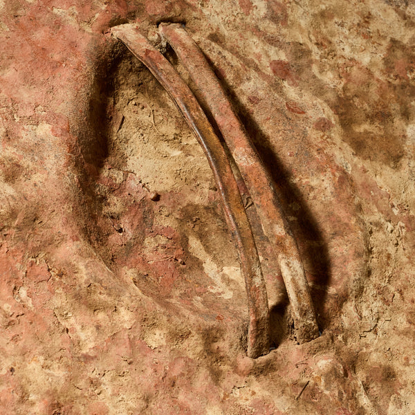 A BUMPY ROUND SHIELD, KIRDI TRIBE N CAMEROON, W.AFRICA WITH GOOD AGE AND PATINA  ( No 5075 )