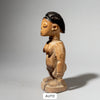 A GLOSSILY PATINATED EWE VENAVI WITH WORN FACE FROM HANDLING( No 4391 )
